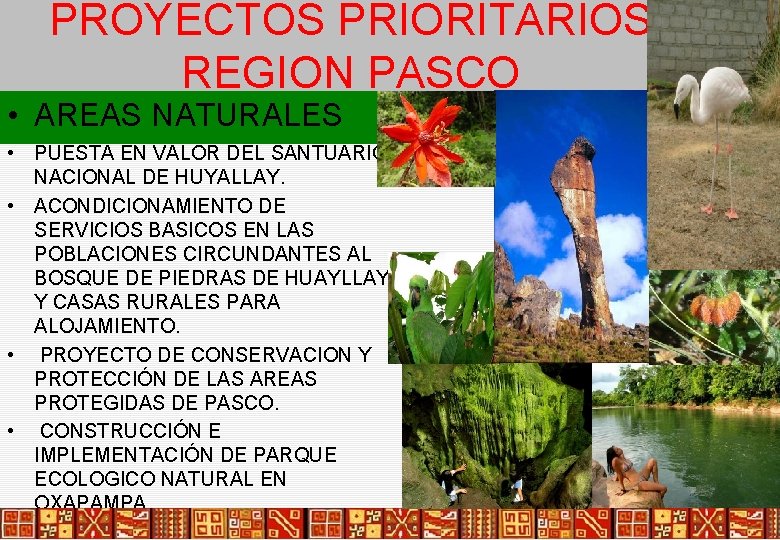 PROYECTOS PRIORITARIOS REGION PASCO • AREAS NATURALES • PUESTA EN VALOR DEL SANTUARIO NACIONAL
