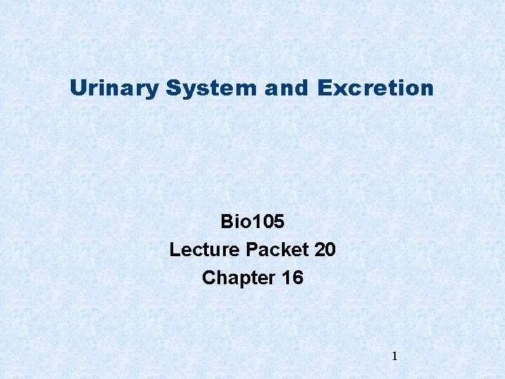 Urinary System and Excretion Bio 105 Lecture Packet 20 Chapter 16 1 