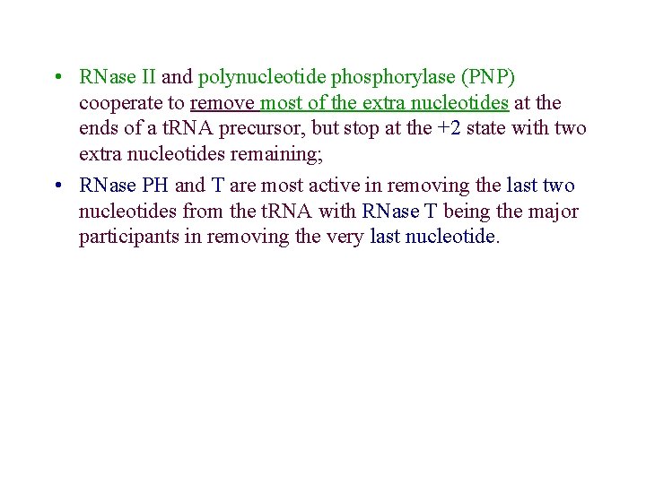  • RNase II and polynucleotide phosphorylase (PNP) cooperate to remove most of the