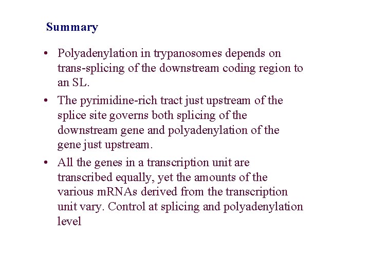 Summary • Polyadenylation in trypanosomes depends on trans-splicing of the downstream coding region to