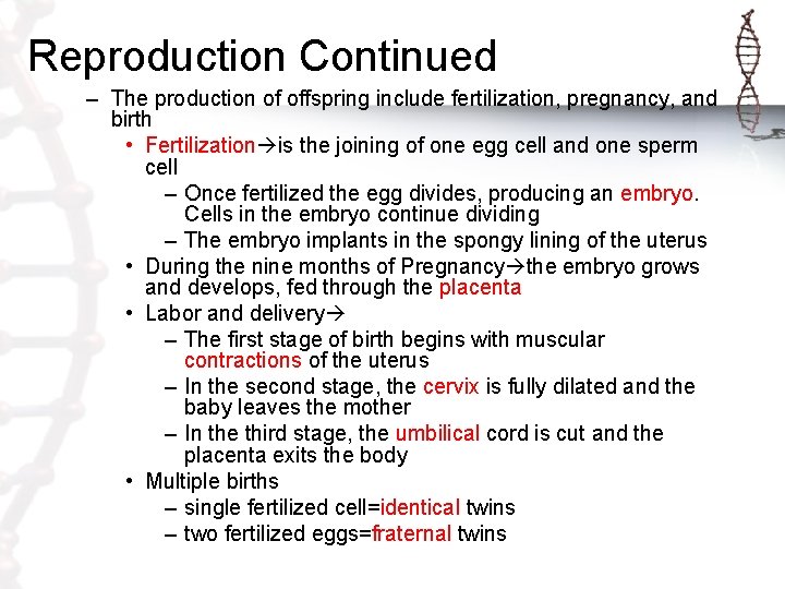 Reproduction Continued – The production of offspring include fertilization, pregnancy, and birth • Fertilization