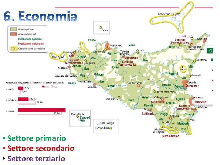  • Settore primario • Settore secondario • Settore terziario 