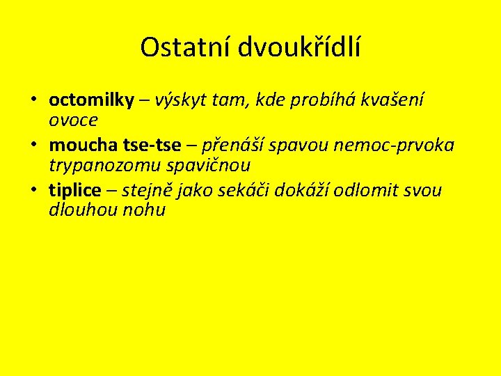 Ostatní dvoukřídlí • octomilky – výskyt tam, kde probíhá kvašení ovoce • moucha tse-tse