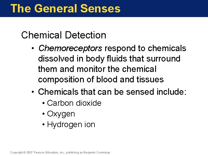 The General Senses Chemical Detection • Chemoreceptors respond to chemicals dissolved in body fluids