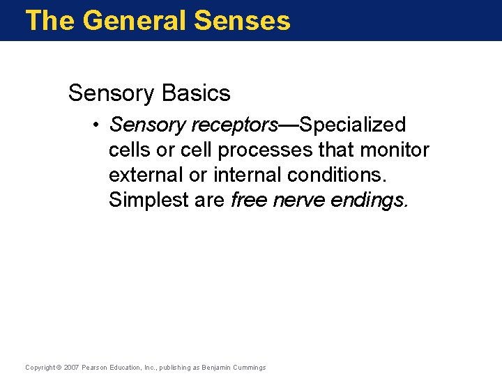 The General Senses Sensory Basics • Sensory receptors—Specialized cells or cell processes that monitor