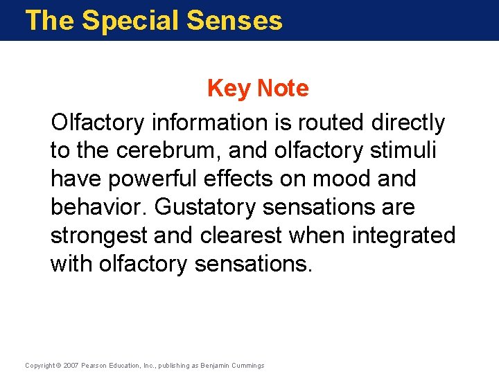 The Special Senses Key Note Olfactory information is routed directly to the cerebrum, and