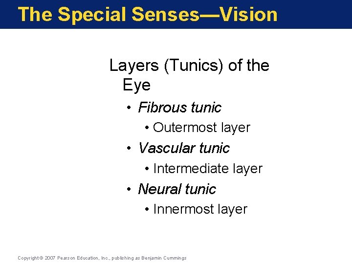 The Special Senses—Vision Layers (Tunics) of the Eye • Fibrous tunic • Outermost layer