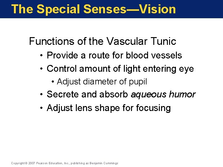 The Special Senses—Vision Functions of the Vascular Tunic • Provide a route for blood