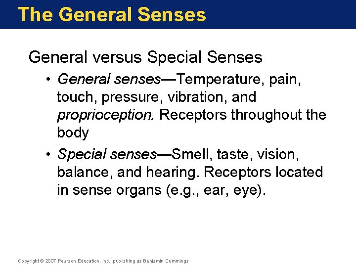 The General Senses General versus Special Senses • General senses—Temperature, pain, touch, pressure, vibration,