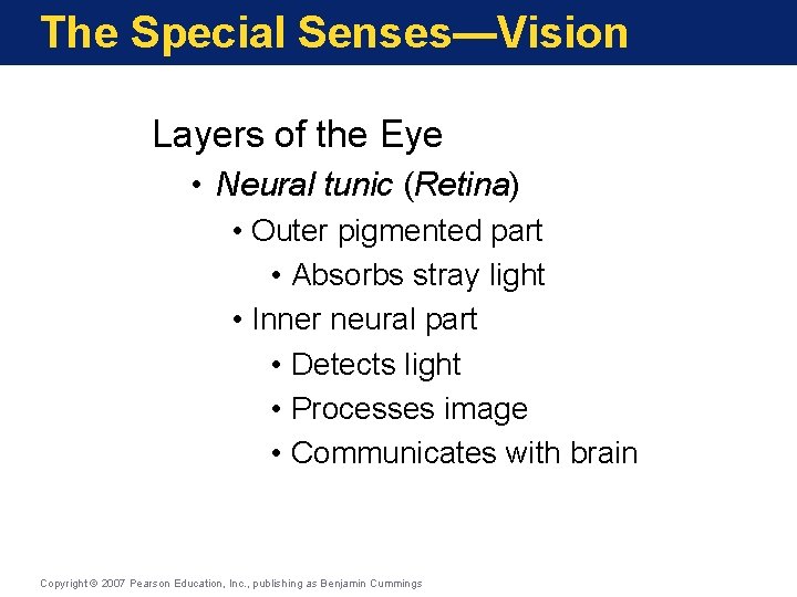 The Special Senses—Vision Layers of the Eye • Neural tunic (Retina) • Outer pigmented