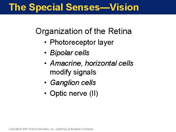 The Special Senses—Vision Organization of the Retina • Photoreceptor layer • Bipolar cells •