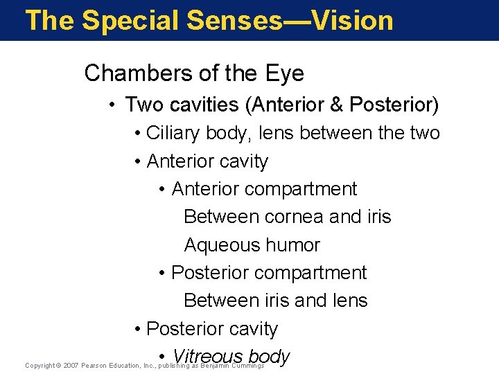 The Special Senses—Vision Chambers of the Eye • Two cavities (Anterior & Posterior) •