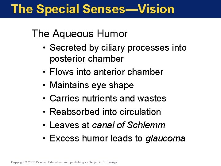 The Special Senses—Vision The Aqueous Humor • Secreted by ciliary processes into posterior chamber