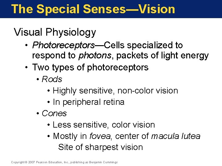 The Special Senses—Vision Visual Physiology • Photoreceptors—Cells specialized to respond to photons, packets of