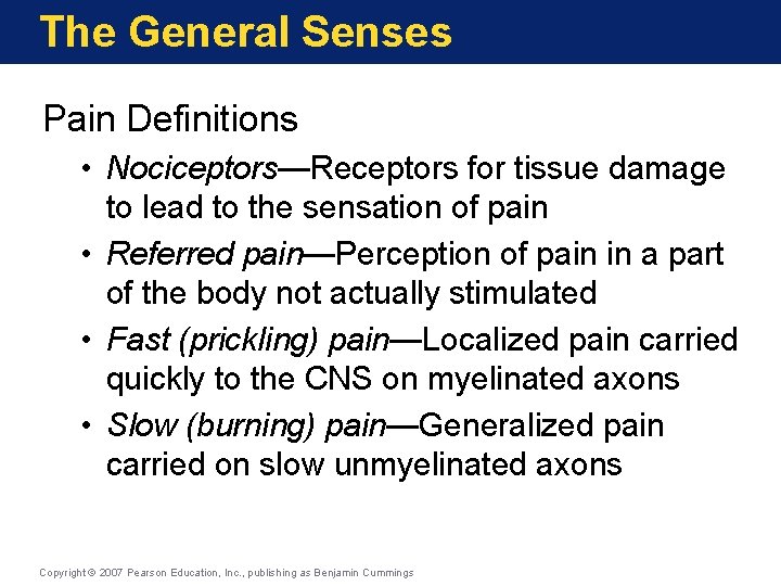 The General Senses Pain Definitions • Nociceptors—Receptors for tissue damage to lead to the