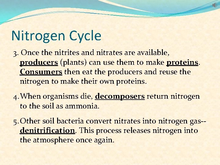 Nitrogen Cycle 3. Once the nitrites and nitrates are available, producers (plants) can use