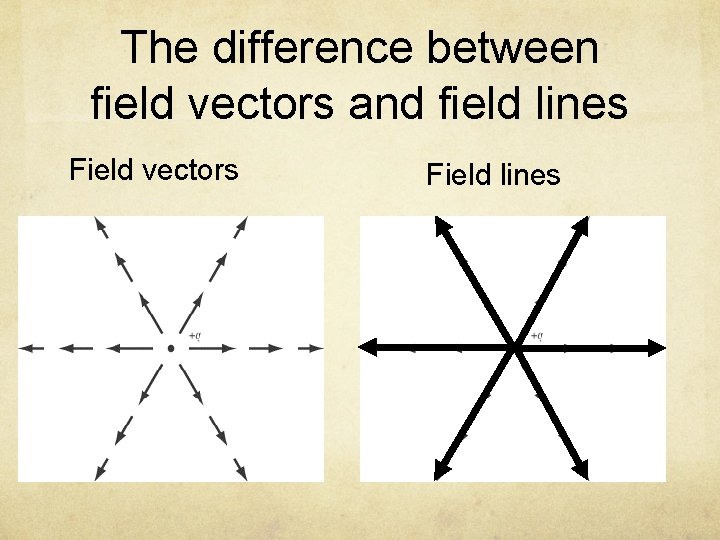 The difference between field vectors and field lines Field vectors Field lines 