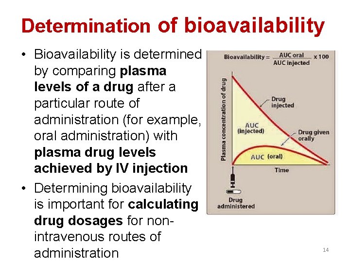 Determination of bioavailability • Bioavailability is determined by comparing plasma levels of a drug