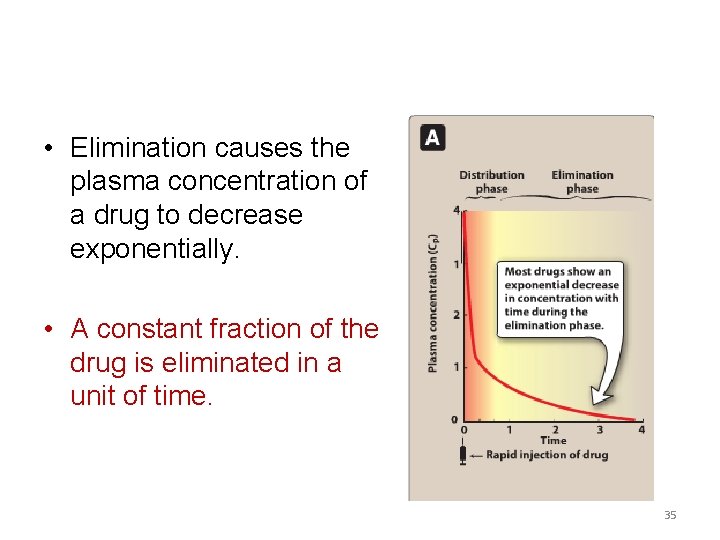  • Elimination causes the plasma concentration of a drug to decrease exponentially. •