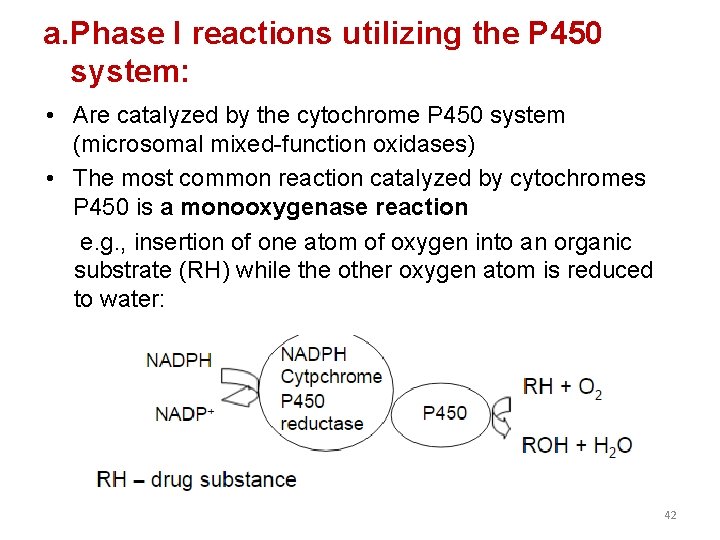 a. Phase I reactions utilizing the P 450 system: • Are catalyzed by the