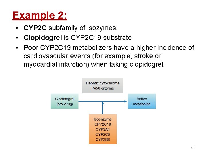 Example 2: • CYP 2 C subfamily of isozymes. • Clopidogrel is CYP 2