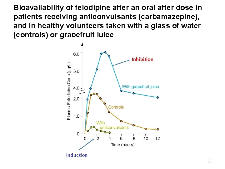 Bioavailability of felodipine after an oral after dose in patients receiving anticonvulsants (carbamazepine), and