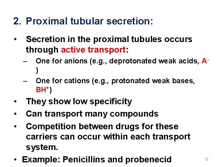 2. Proximal tubular secretion: • Secretion in the proximal tubules occurs through active transport: