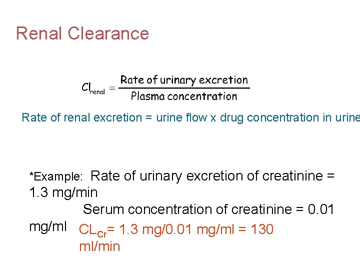 Renal Clearance Rate of renal excretion = urine flow x drug concentration in urine