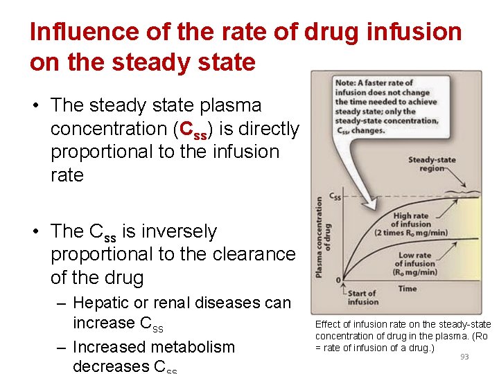 Influence of the rate of drug infusion on the steady state • The steady