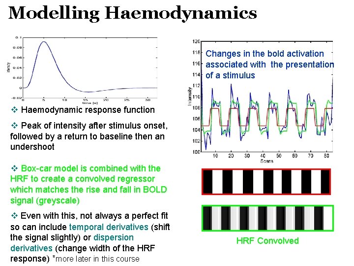 Modelling Haemodynamics Changes in the bold activation associated with the presentation of a stimulus