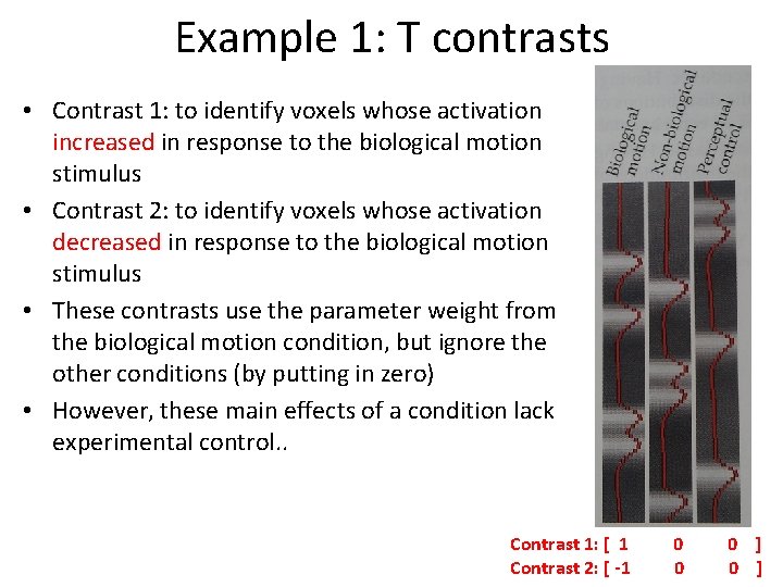 Example 1: T contrasts • Contrast 1: to identify voxels whose activation increased in