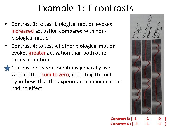 Example 1: T contrasts • Contrast 3: to test biological motion evokes increased activation