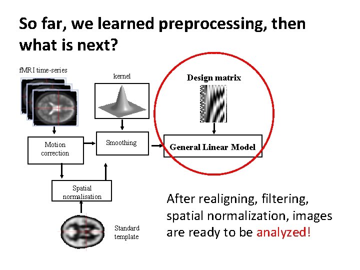 So far, we learned preprocessing, then what is next? f. MRI time-series Motion correction