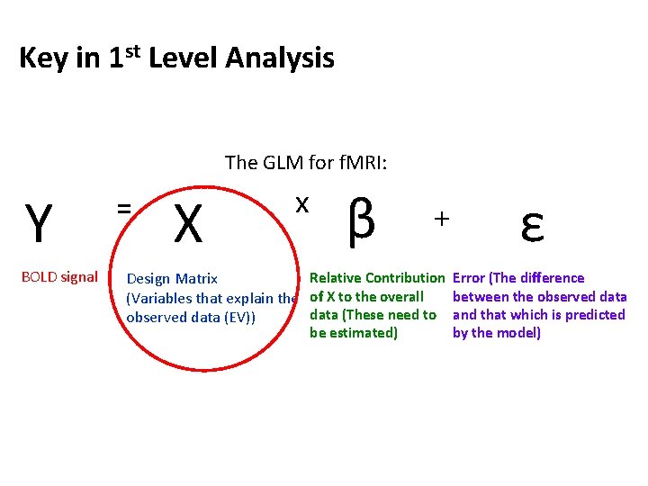 Key in 1 st Level Analysis The GLM for f. MRI: Y BOLD signal