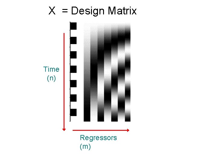 X = Design Matrix Time (n) Regressors (m) 