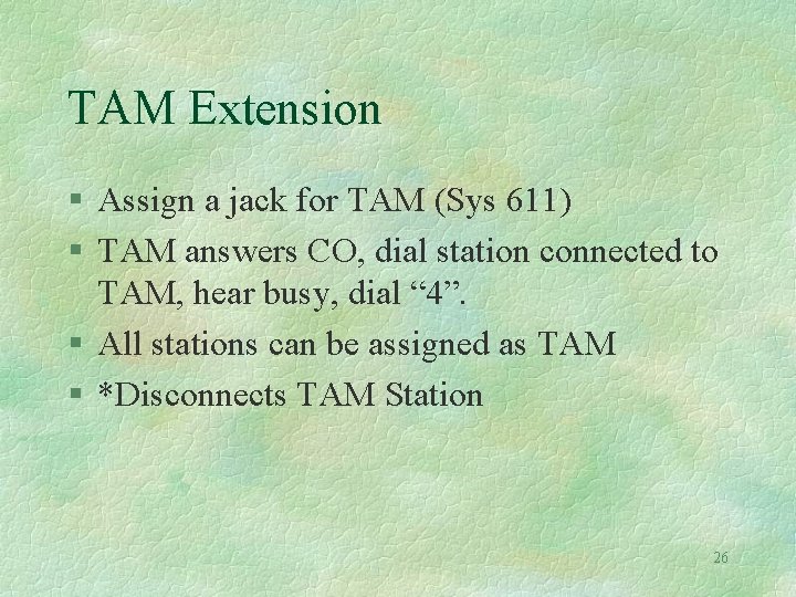 TAM Extension § Assign a jack for TAM (Sys 611) § TAM answers CO,