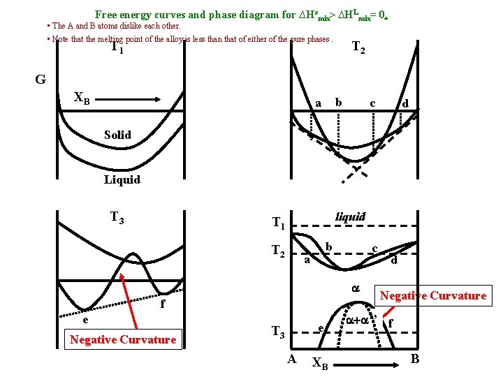 Free energy curves and phase diagram for ∆Hsmix> ∆HLmix= 0. • The A and