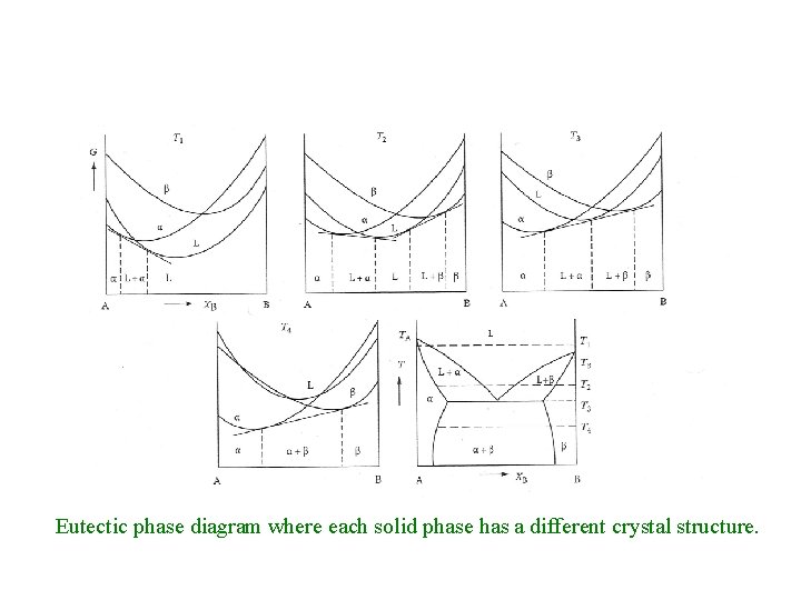 Eutectic phase diagram where each solid phase has a different crystal structure. 