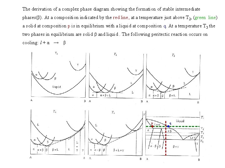 The derivation of a complex phase diagram showing the formation of stable intermediate phases(β).