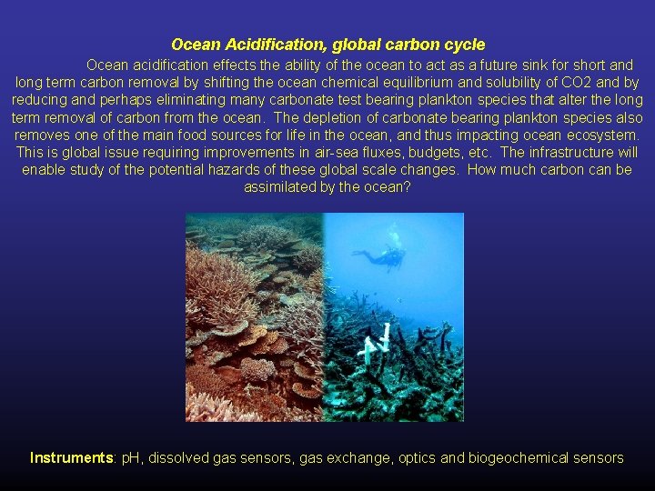 Ocean Acidification, global carbon cycle Ocean acidification effects the ability of the ocean to