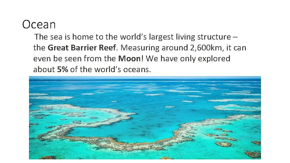 Ocean The sea is home to the world’s largest living structure – the Great