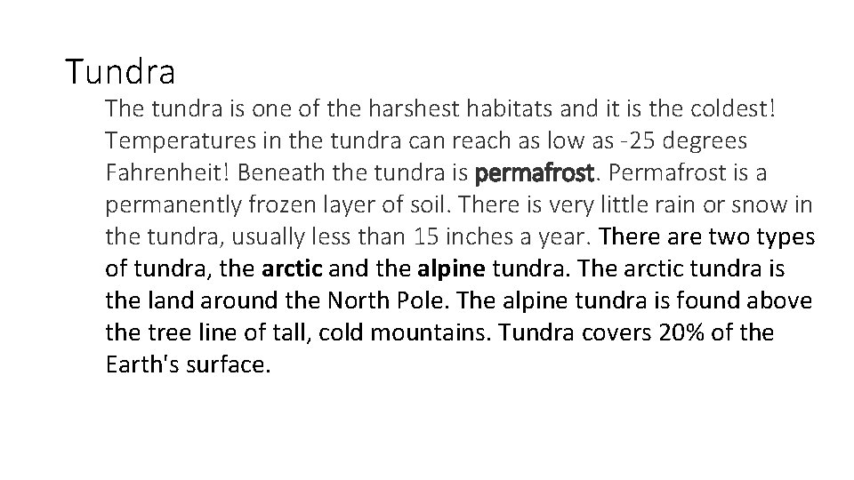 Tundra The tundra is one of the harshest habitats and it is the coldest!