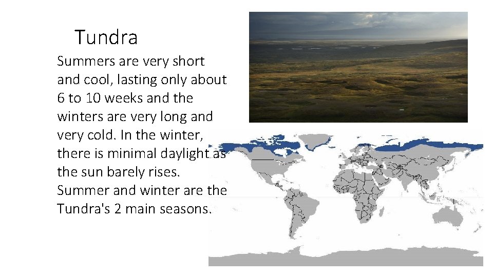 Tundra Summers are very short and cool, lasting only about 6 to 10 weeks