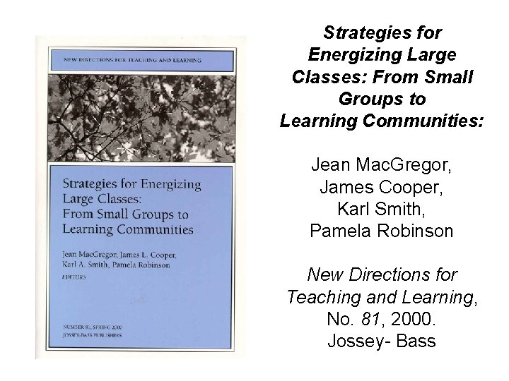 Strategies for Energizing Large Classes: From Small Groups to Learning Communities: Jean Mac. Gregor,