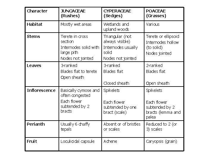 Character JUNCACEAE (Rushes) CYPERACEAE (Sedges) POACEAE (Grasses) Habitat Mostly wet areas Wetlands and upland