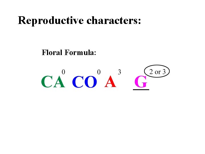 Reproductive characters: Floral Formula: 