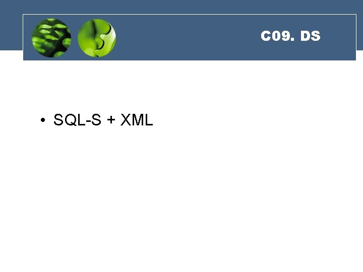 C 09. DS • SQL-S + XML 
