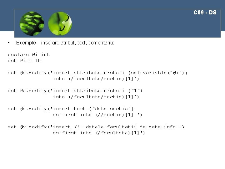 C 09 - DS • Exemple – inserare atribut, text, comentariu: declare @i int