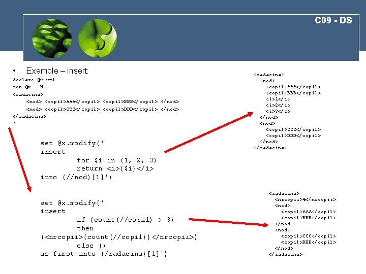 C 09 - DS • Exemple – insert: declare @x xml set @x =