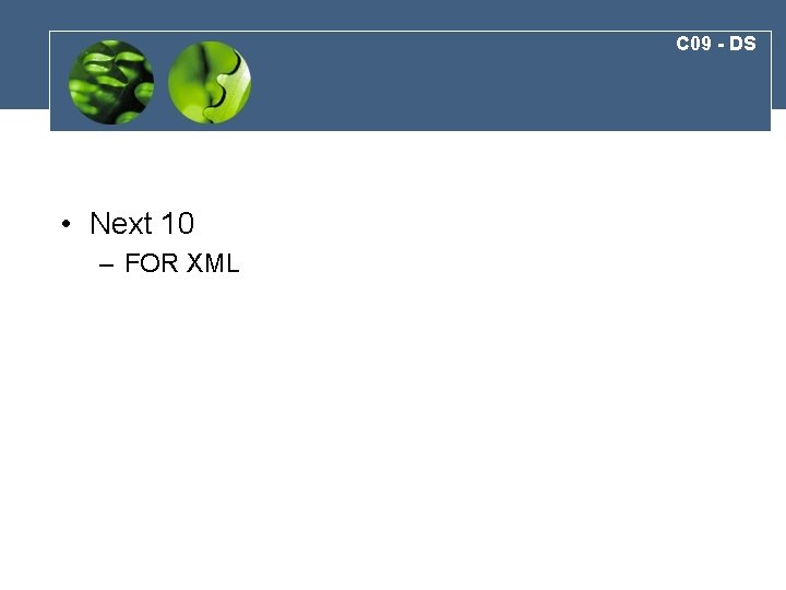 C 09 - DS • Next 10 – FOR XML 